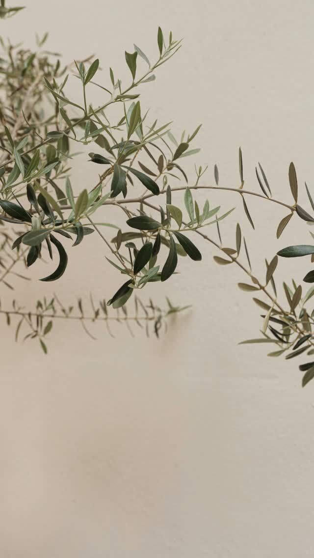 Solches Feedback bestätigt unseren Anspruch: medizinische Qualität, menschliche Nähe und echte Betreuung – vom ersten Kontakt bis weit über den Eingriff hinaus.
Vielen Dank für dieses Vertrauen.

✨ Beste Qualität und höchste Sicherheit durch Klinikstandard ✨

☎️ +49 7741 835 825
📧 info@klinik-schwarzwald.com
📍 Klinik am Schwarzwald
Hauptstr. 31
79787 Lauchringen

🌍 www.klinik-schwarzwald.com

#KlinikamSchwarzwald
#ÄsthetischeMedizin
#PlastischeChirurgie
#MedizinMitMenschlichkeit
#Klinikstandard